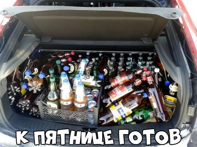 Автовсячина