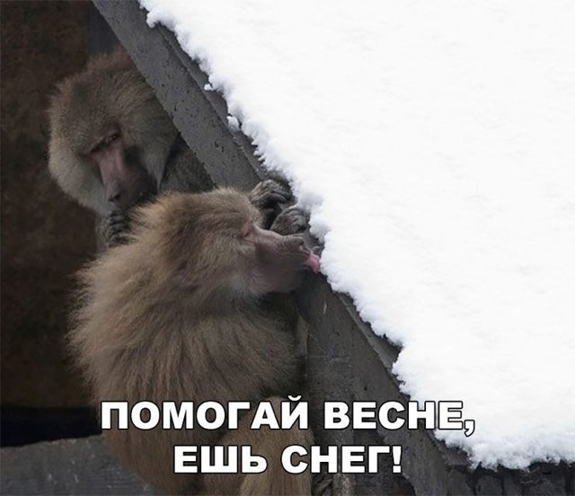 Пост хорошего настроения