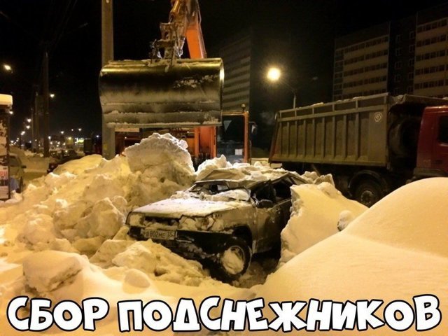 Автовсячина