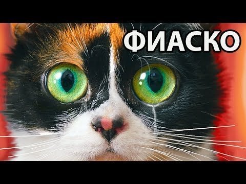 Вся боль в одном видео
