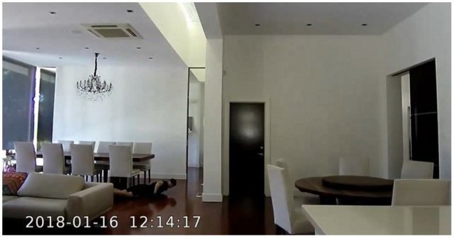 Воришка ползал под камерами видеонаблюдения в доме, предполагая, что его никто не видит
