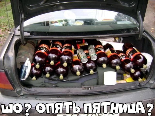 Автовсячина