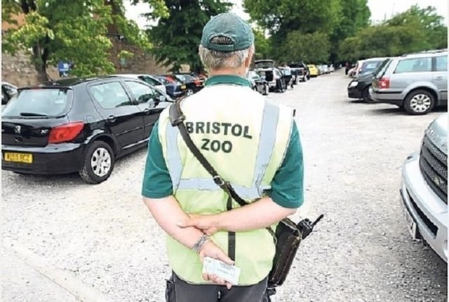 Как парковщик британского зоопарка стал миллионером