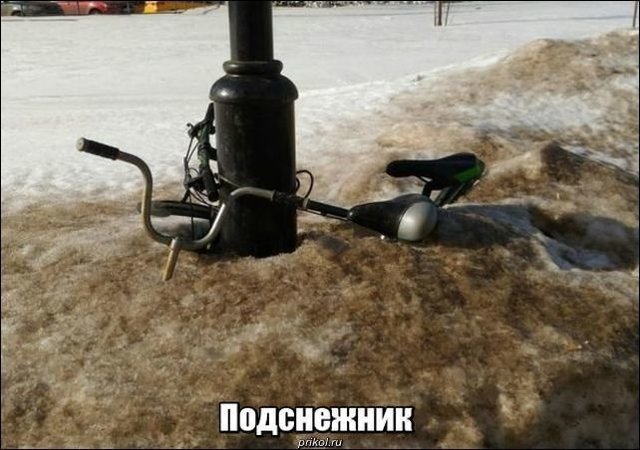 Прикольные картинки
