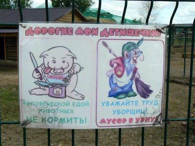 Прикольные картинки