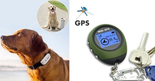 GPS-трекеры с AliExpress, которые неожиданно стали законными