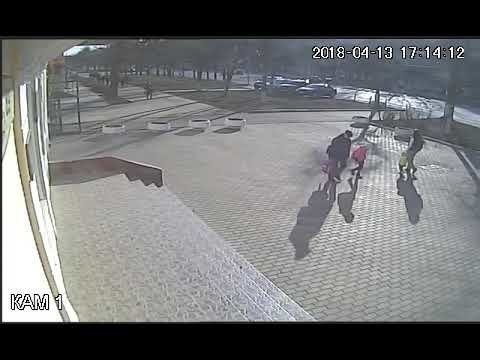 Тульский летчик