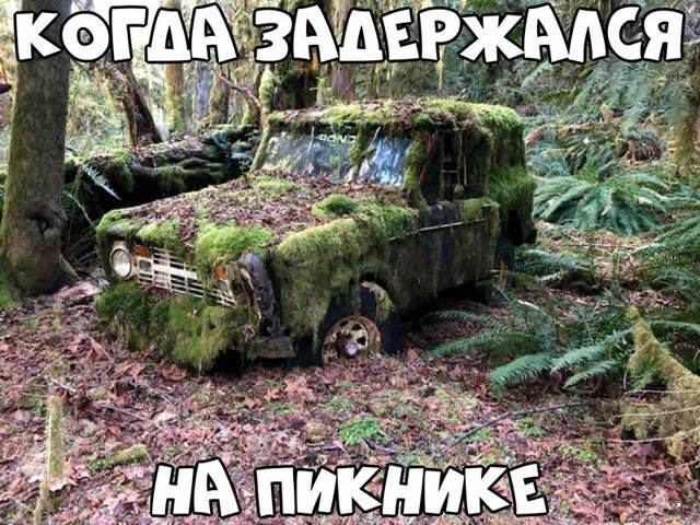 Автовсячина