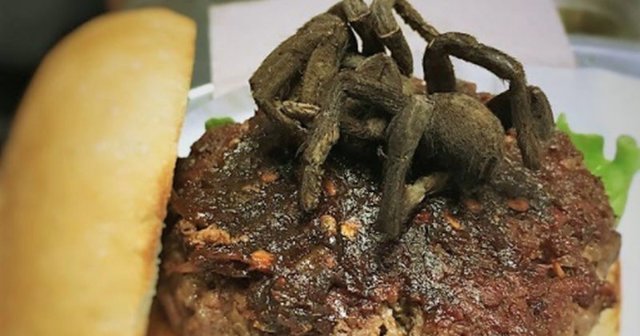 В одном из ресторанов Северной Каролины можно отведать бургер с тарантулом