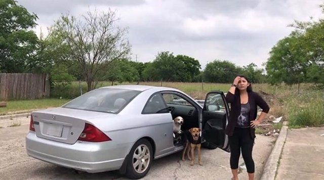В Техасе поймали с поличным женщину, которая хотела бросить 4-х своих собак