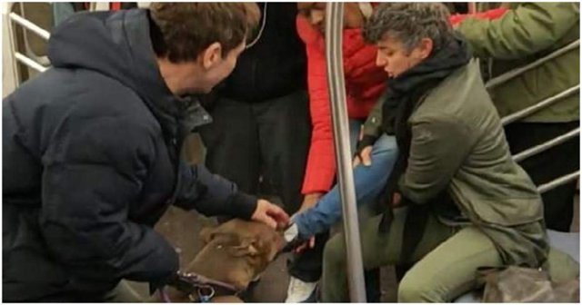 Питбуль напал на женщину в вагоне нью-йоркского метро