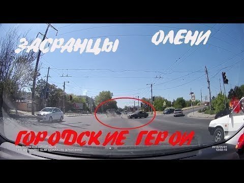 Подборка оленей за рулем