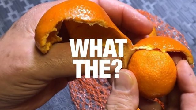 Очень удачные моменты снятые на видео!