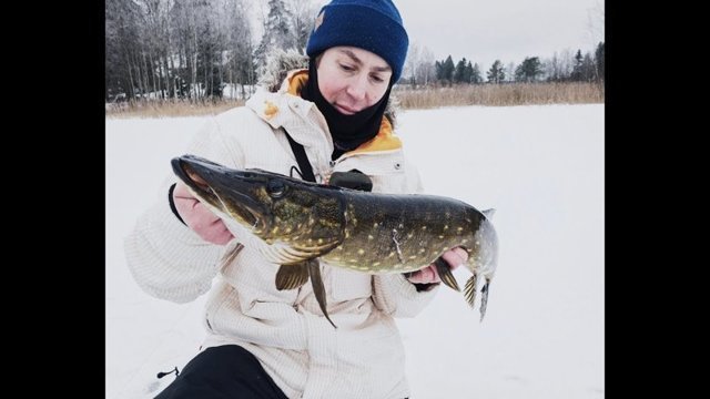 Последняя рыбалка на льду 2018. Икряные щуки 2 - 3.5 кг. Коты тут, как тут!