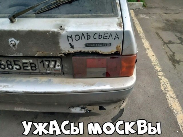 Автовсячина