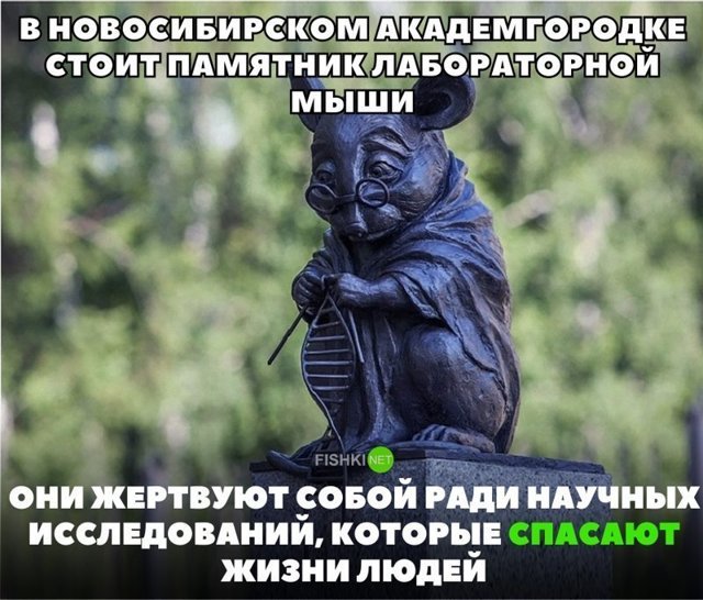 Картинки с надписями для настроения