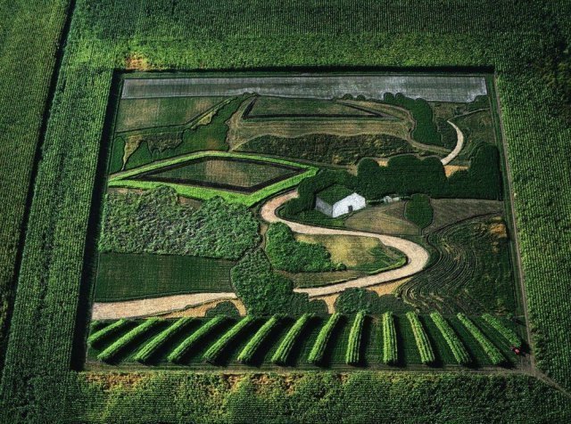 Фото для хорошего настроения