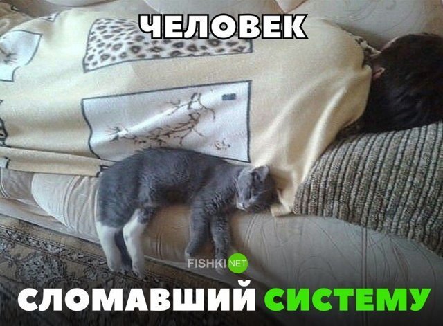 Картинки с надписями для настроения