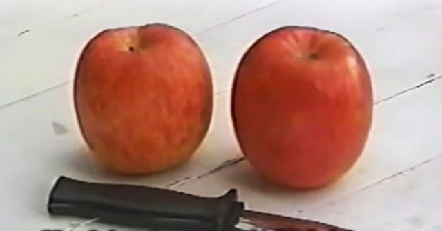 Три человека, два яблока и один нож: японец загадал в Твиттере задачу