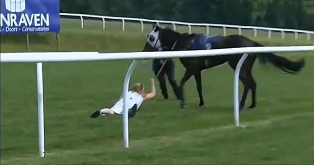 Коня на скаку остановит: журналистка приструнила сбежавшую лошадь
