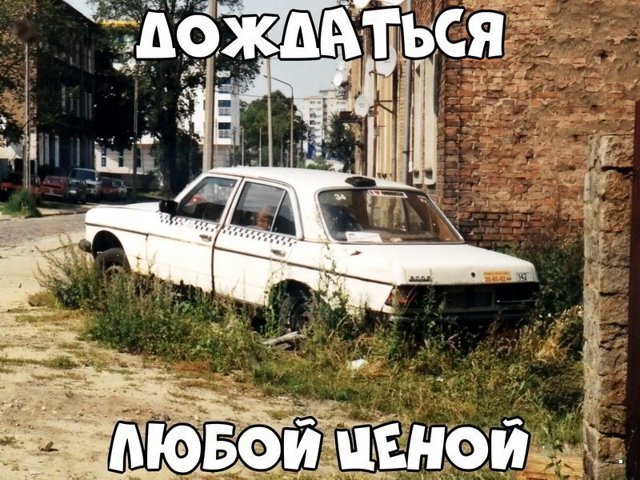 Автовсячина