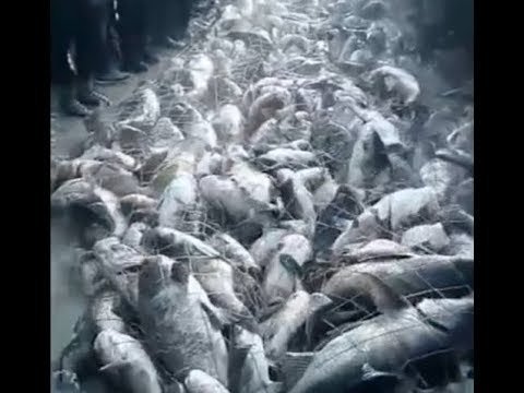 На охоте и рыбалке