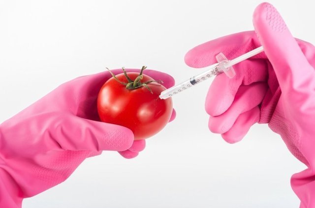 Что несут нам ГМО?