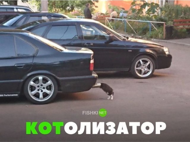 Подборка автомобильных приколов