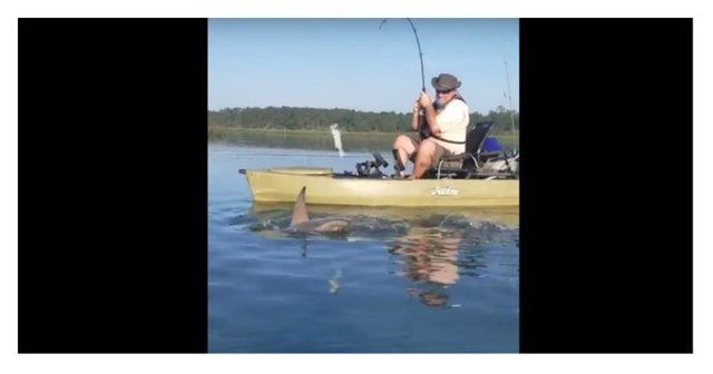 Акула утащила рыбака прямо с лодкой: видео