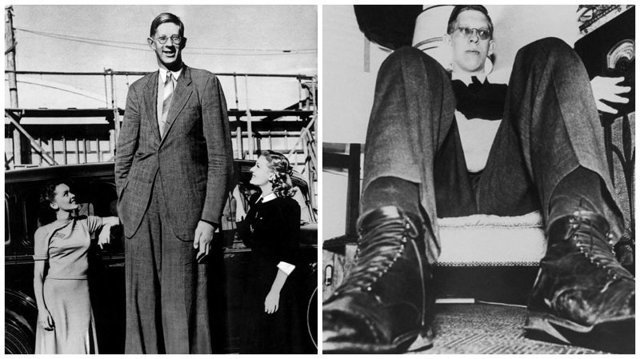 Добрый великан: самый высокий человек в мире Роберт Уодлоу