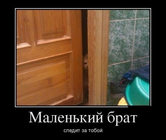 Демотиваторы