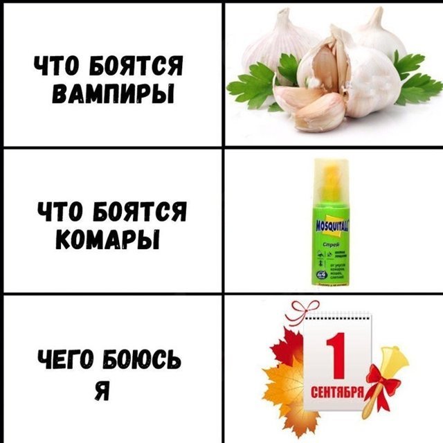 Чего боюсь я