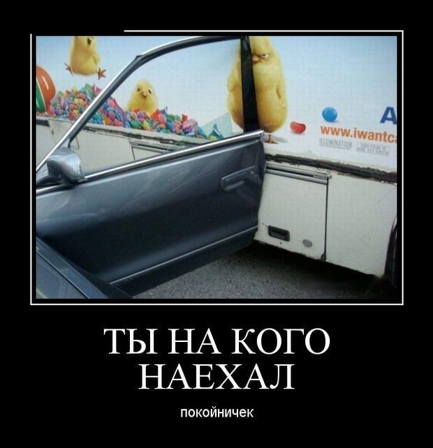 Подборка демотиваторов для хорошего настроения