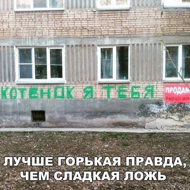 Прикольные картинки