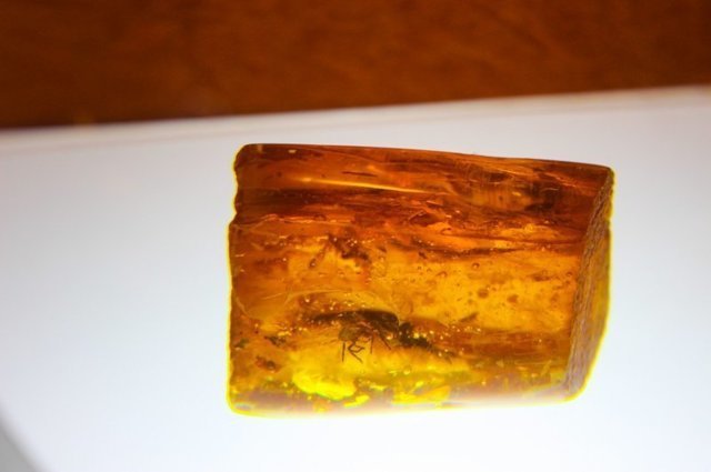 Калининград янтарный