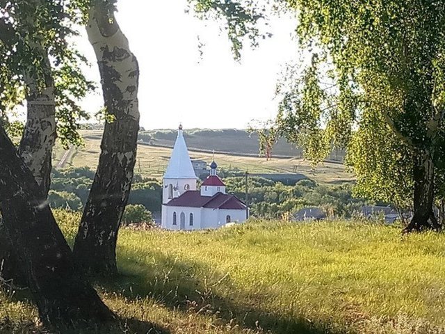 По следам чистомена