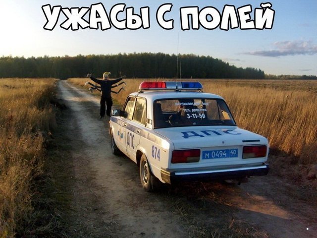 Автовсячина