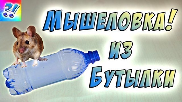 Замучили мелкие грызуны?