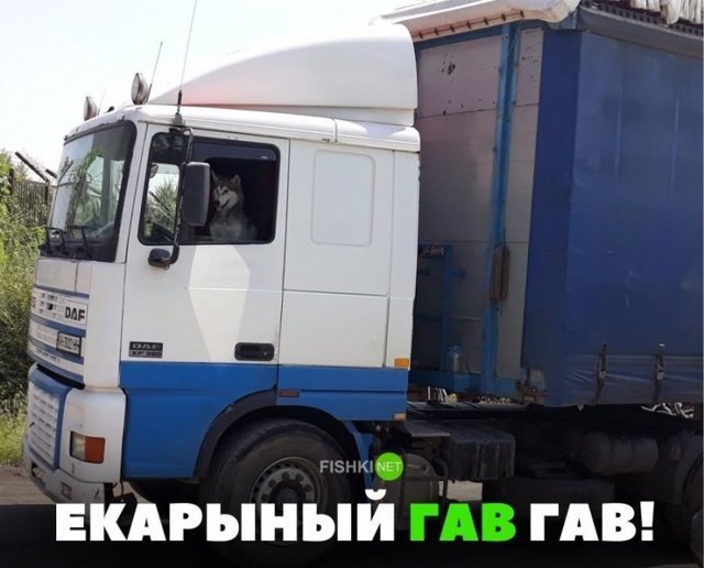 Подборка автомобильных приколов
