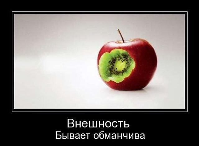 Почему внешность может быть обманчива литературный пример