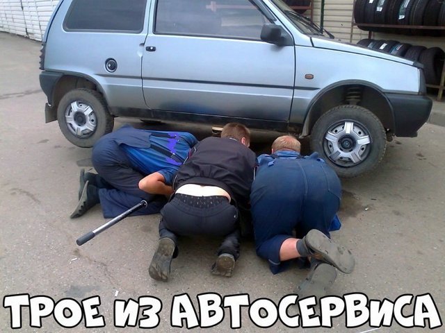 Автовсячина