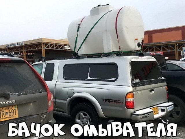 Автовсячина