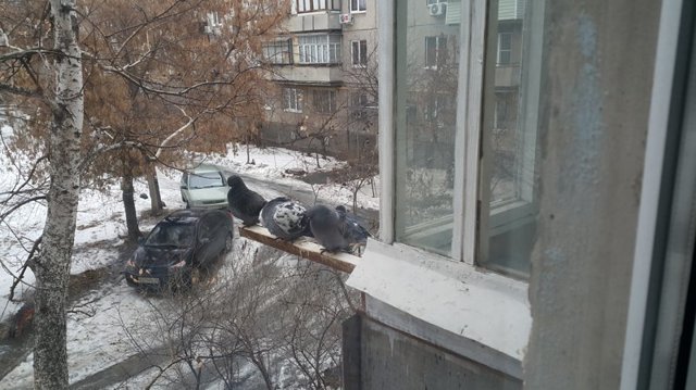 Жизнь в Российской провинции