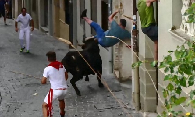 Зритель попал на рога во время забега быков