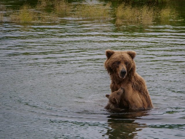 Фотоподборка за 15.08.2018