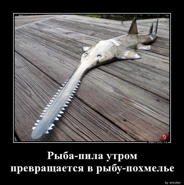 Рыба еще эта