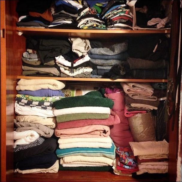 Котомаскировка 80 уровня