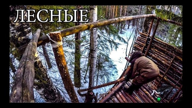 Лесные. Дом на дереве!