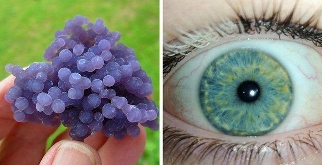 20 фотодоказательств того, что природа легко может удивить даже тех, кто считает, что видел всё