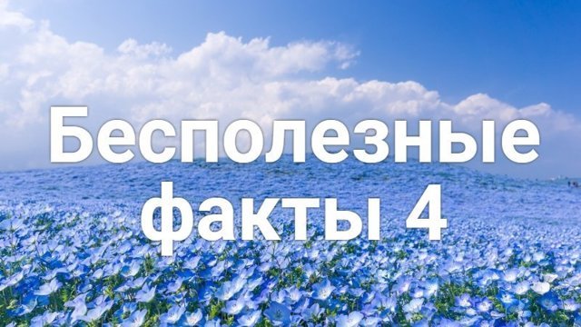 Интересные факты обо всем на свете